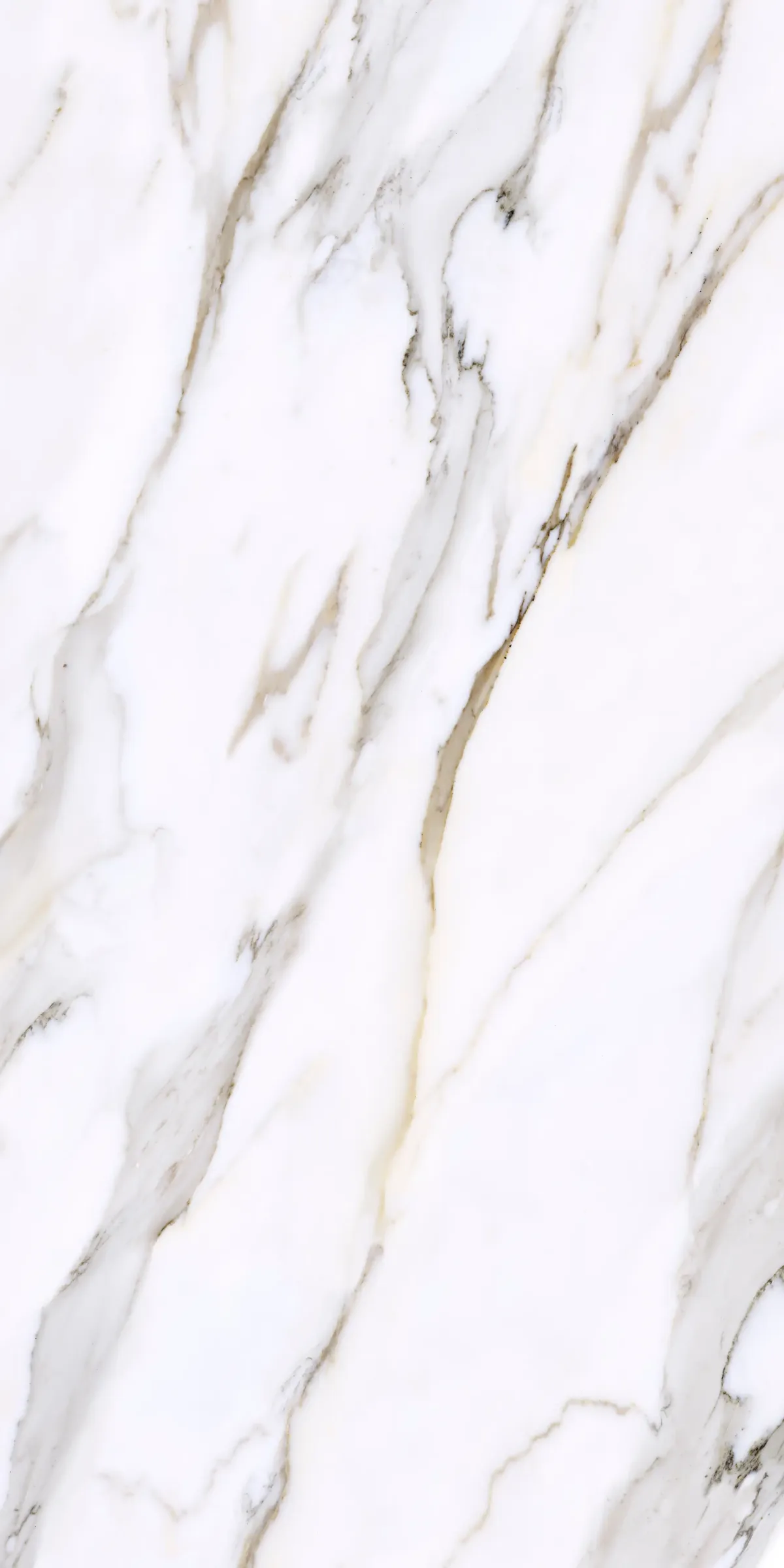 Cartier Gold porcelain slab in a silk finish, a bright white surface with soft grey and warm gold veining