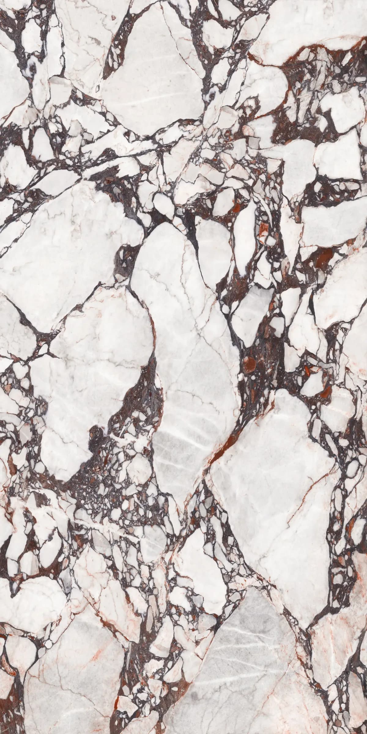 Velvet porcelain slab in a polished finish, with white and pale grey stone broken up by dense oxblood and near-black veining
